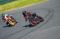 enduro-digital-images;event-digital-images;eventdigitalimages;mallory-park;mallory-park-photographs;mallory-park-trackday;mallory-park-trackday-photographs;no-limits-trackdays;peter-wileman-photography;racing-digital-images;trackday-digital-images;trackday-photos